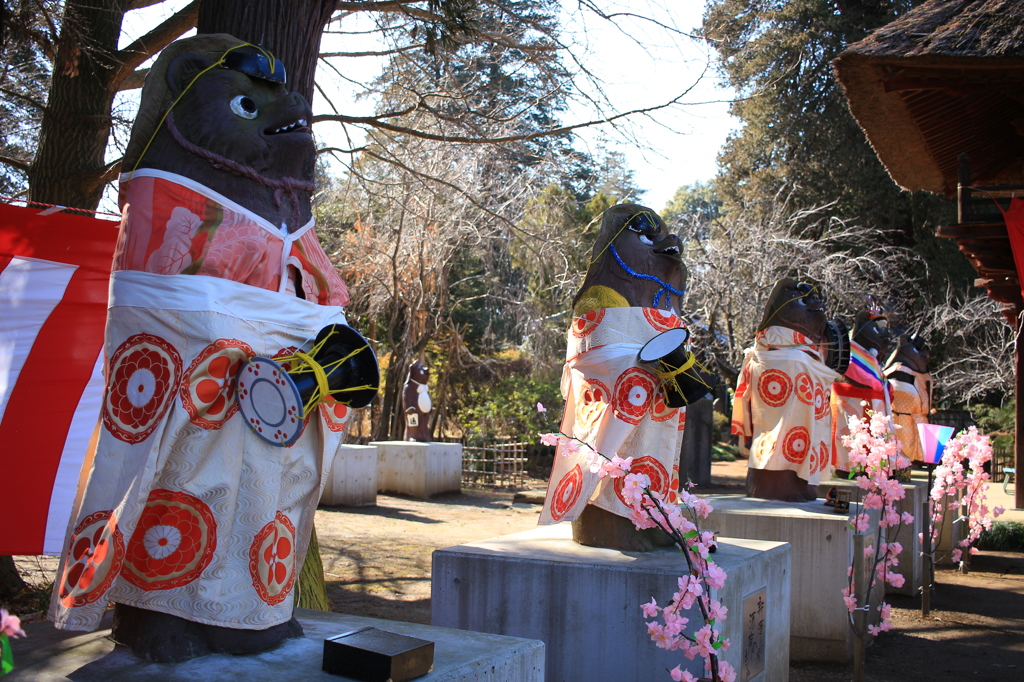 たぬき ひな祭り仕様