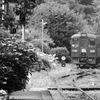 アジサイ咲く駅