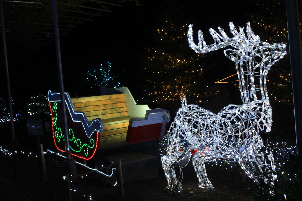 やっぱり…f(^_^;