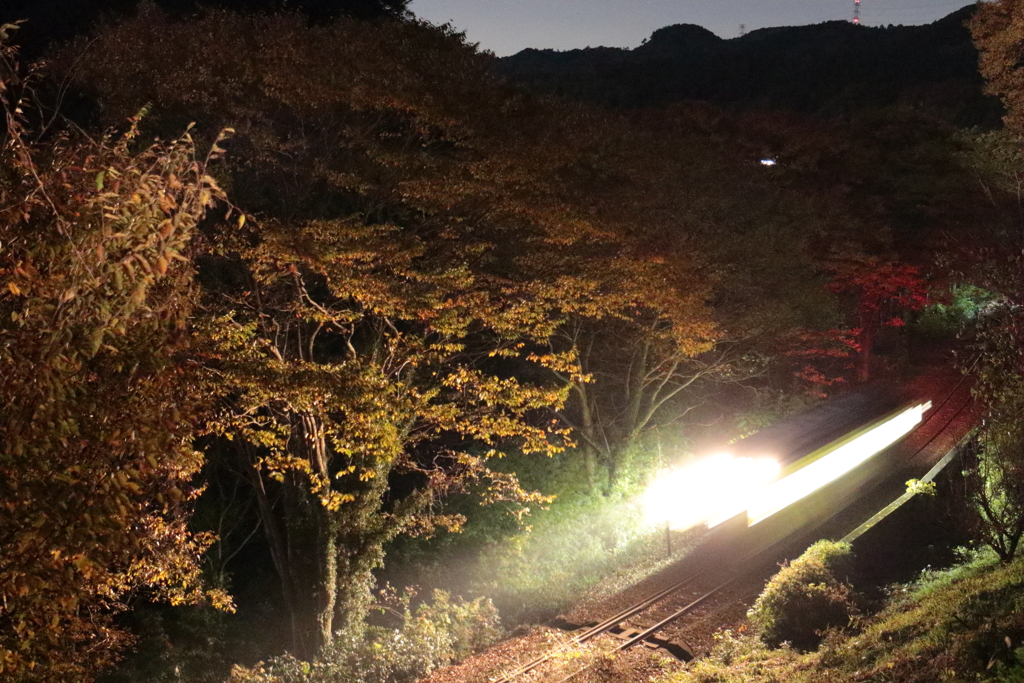 秋の夜