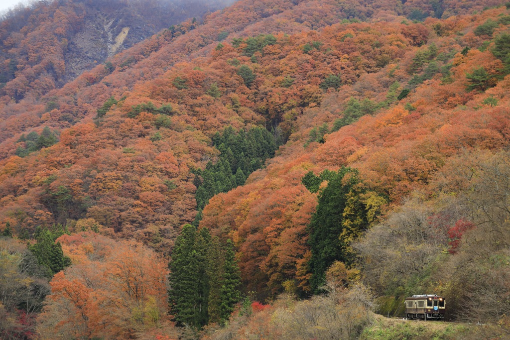秋の渓谷鉄道　１６