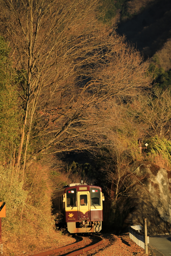 冬の西日を求めて　３