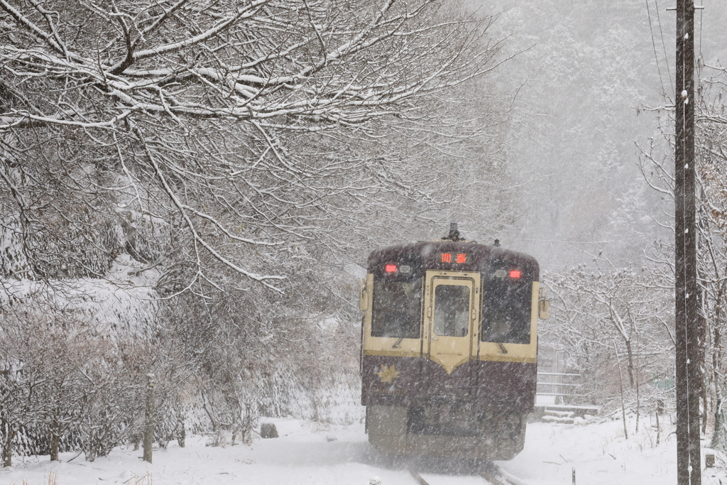 雪の朝　２