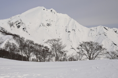 雪の谷川岳に行ってきました