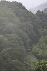 霧雨の朝