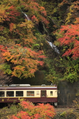 秋の渓谷鉄道　７