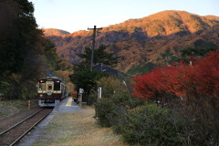 秋の渓谷鉄道　２