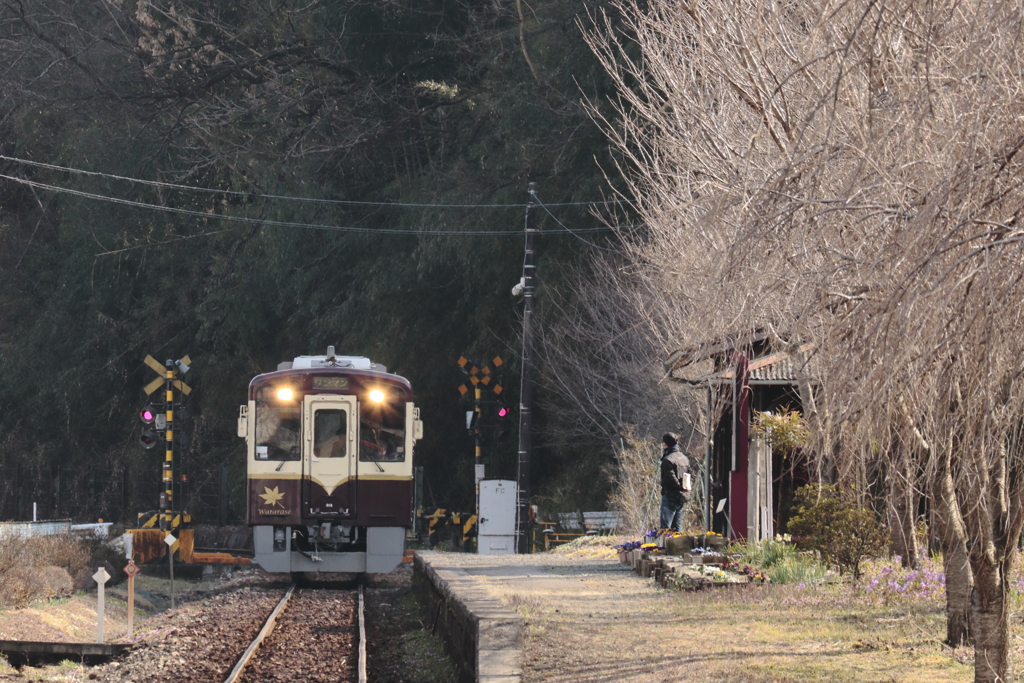 ３月の昼下がり