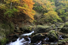 秋の桐生川源流