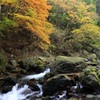 秋の桐生川源流