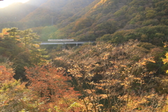 野岩鉄道の秋　７
