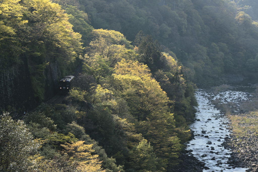 渓谷鉄道　新緑に西日さす