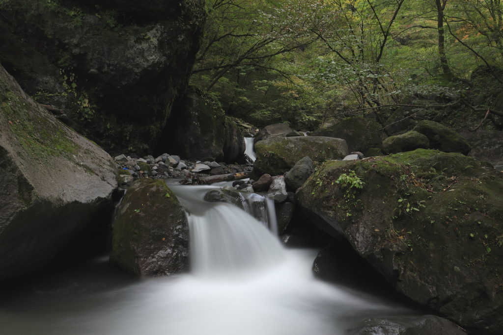 台風去りて