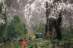 今年も来たなぁ 2