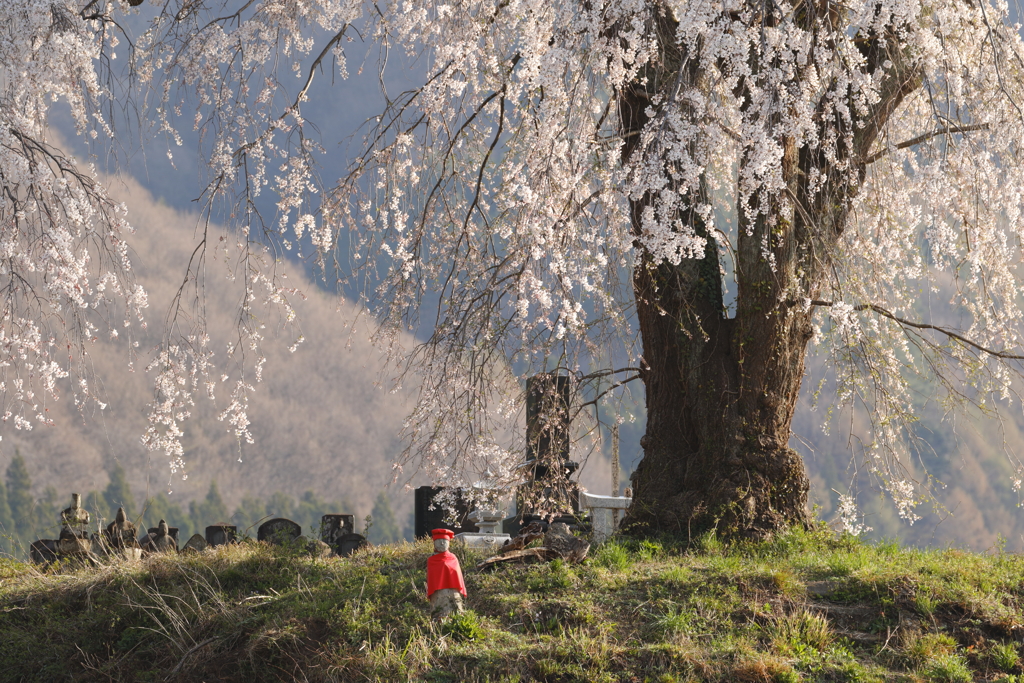 花守地蔵　朝をむかえる 2