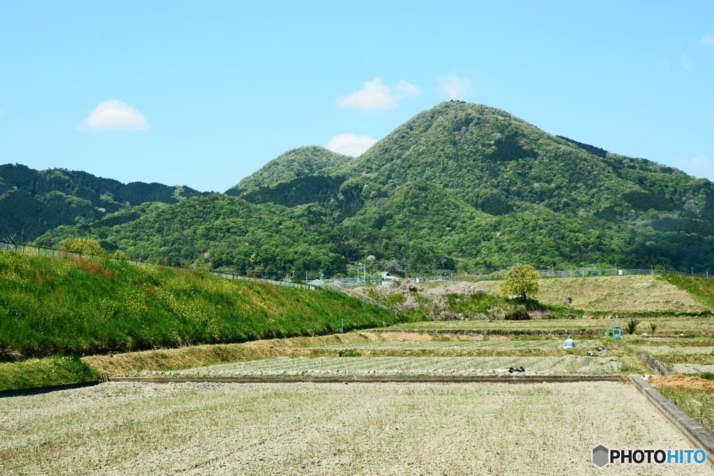 新緑の二上山