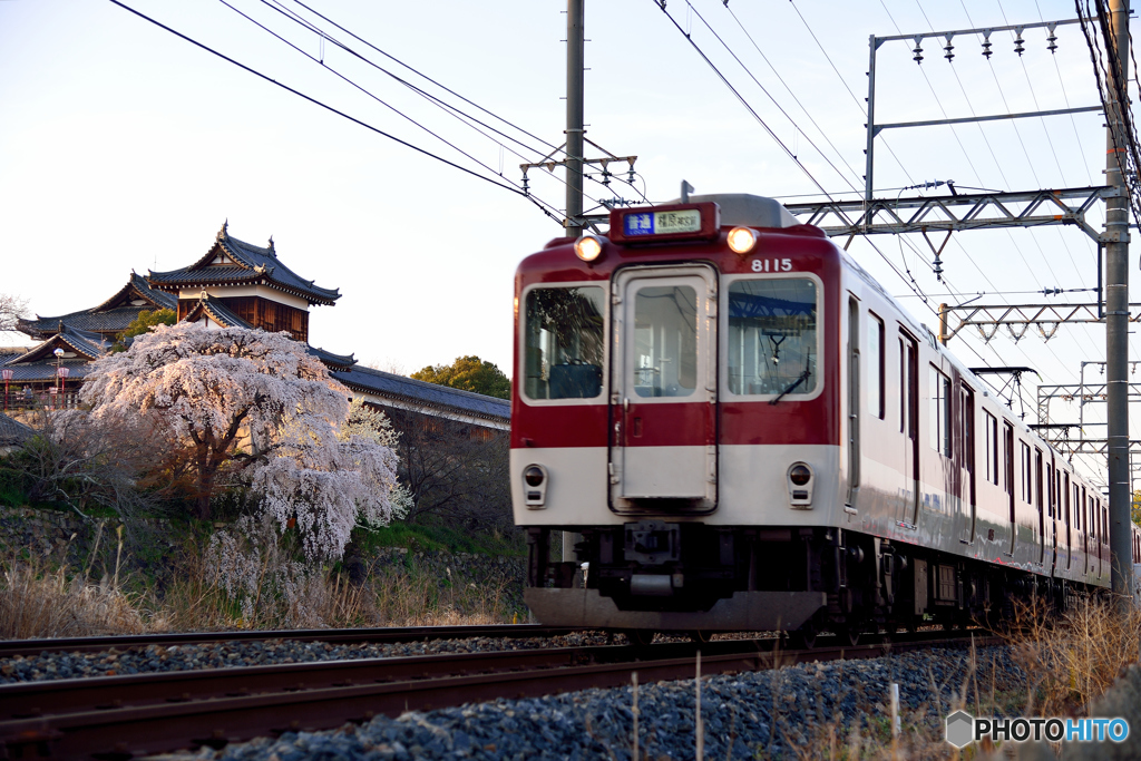 枝垂れ桜と近鉄