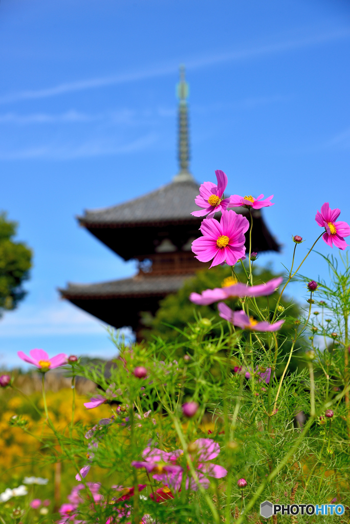法起寺