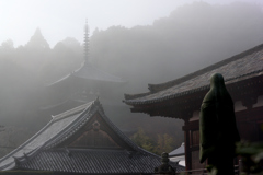 霧の当麻寺
