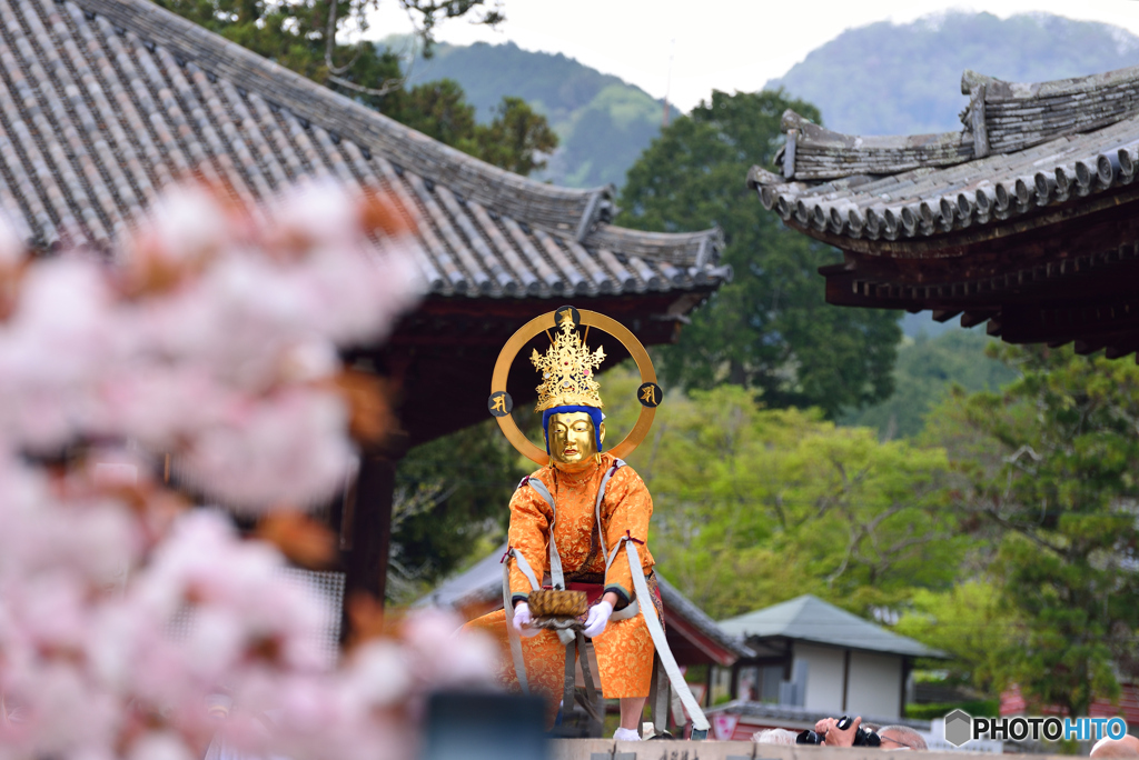 當麻寺 練り供養１