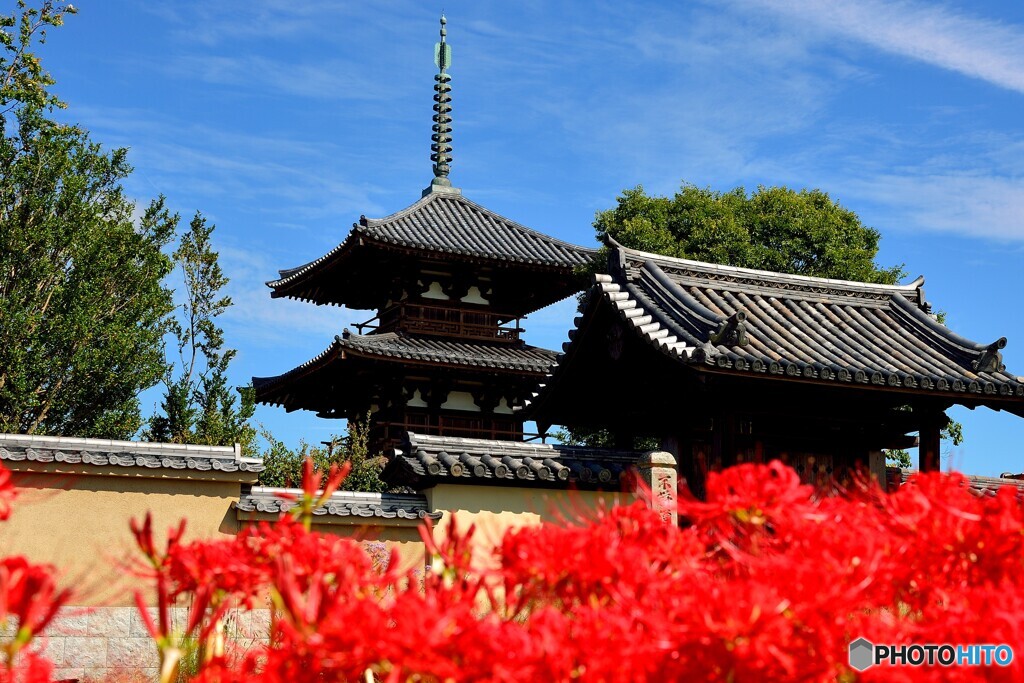 法起寺の彼岸花