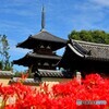 法起寺の彼岸花