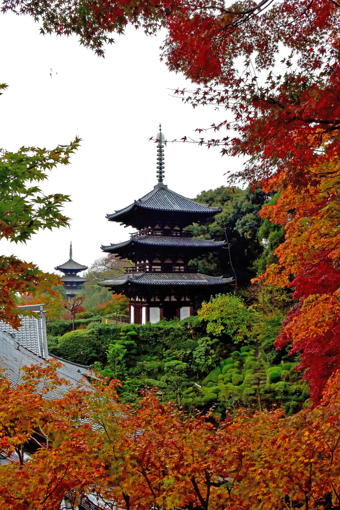 当麻寺　三重塔