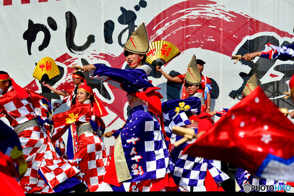 よさこい　十人十彩