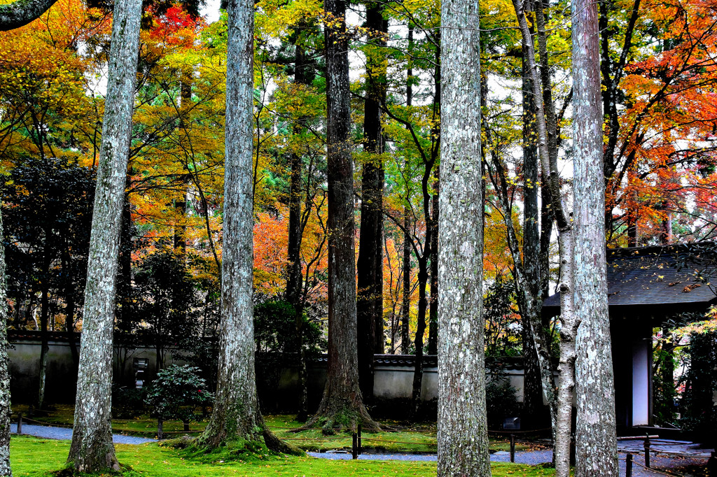 大原三千院