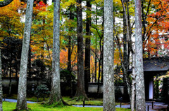 大原三千院