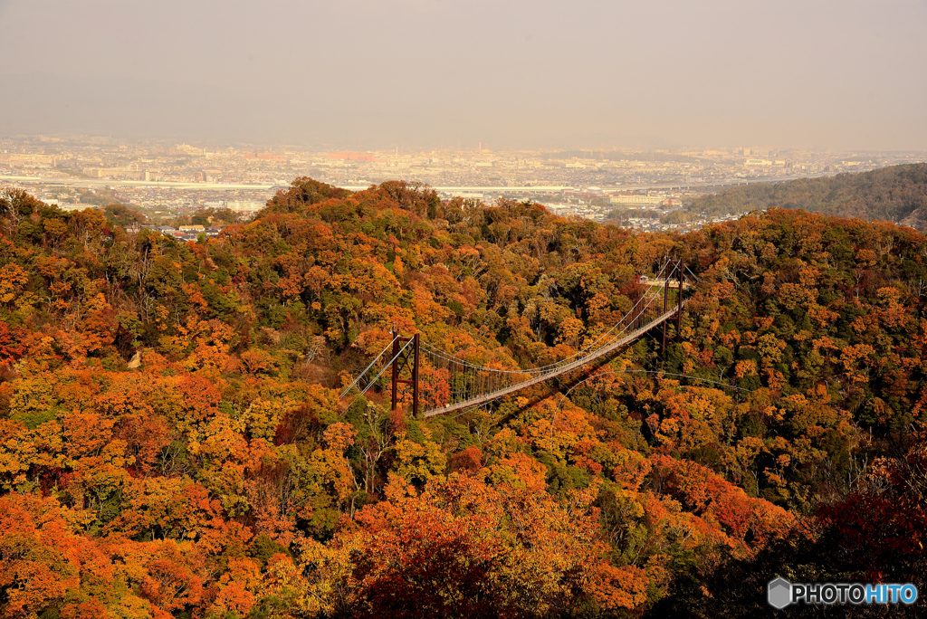 紅葉にかかる橋（１）