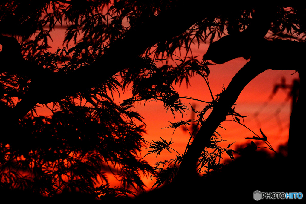 窓からの夕日