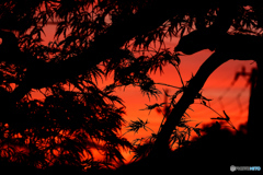 窓からの夕日