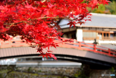 室生寺