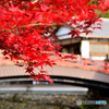 室生寺