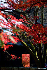 南禅寺山門