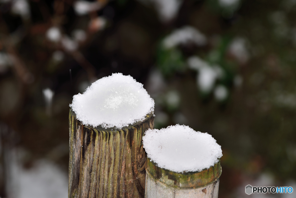 起きたら雪