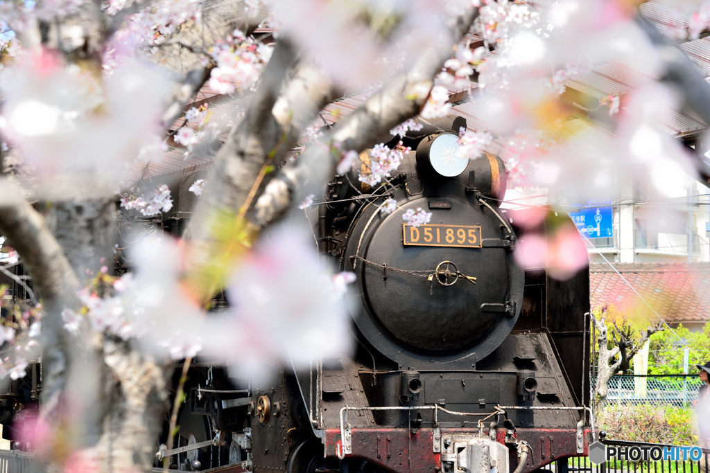 公園のD51