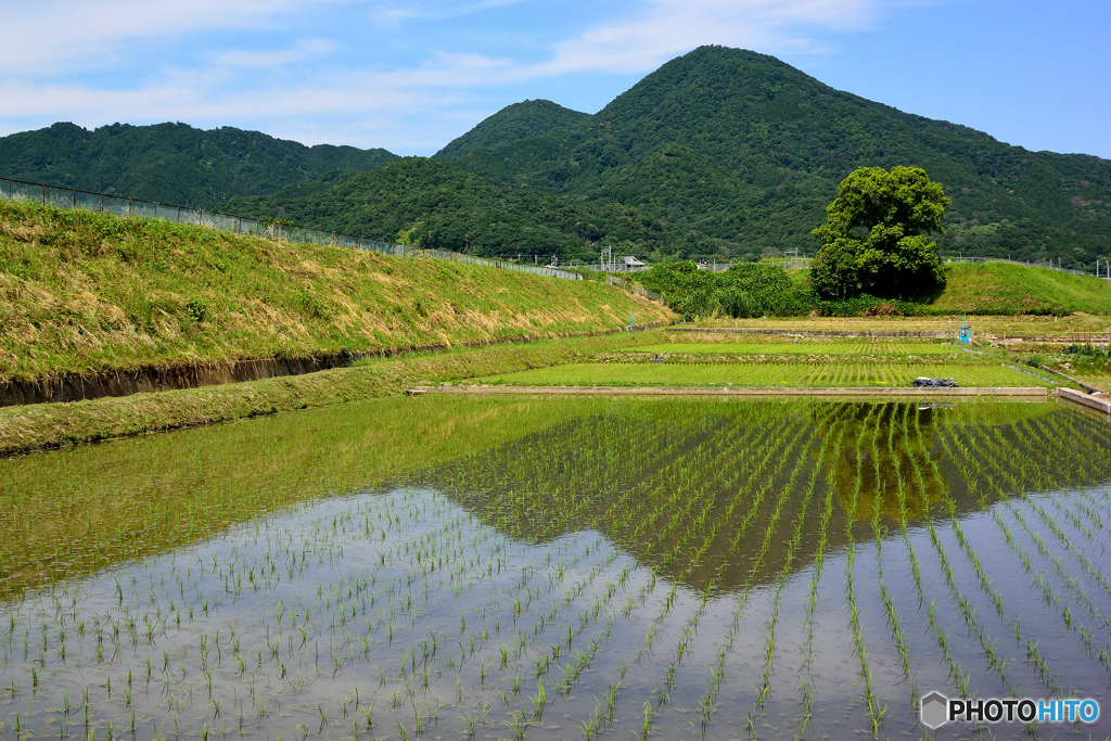 二上山