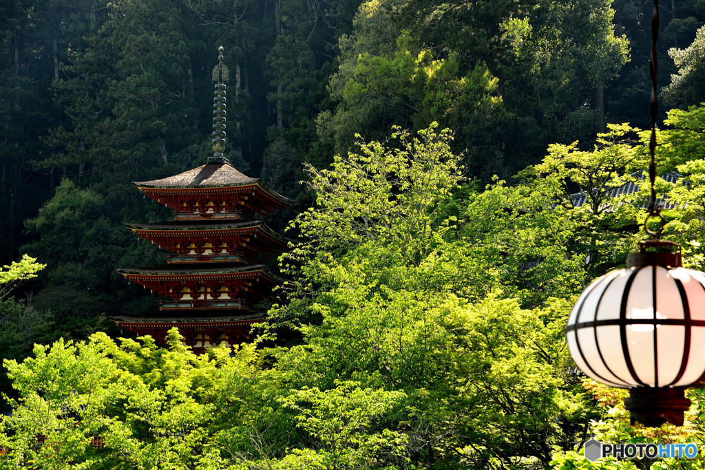 新緑の塔