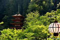 新緑の塔