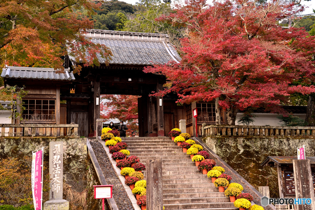 修善寺山門