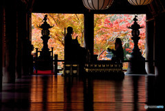 長谷寺祈り