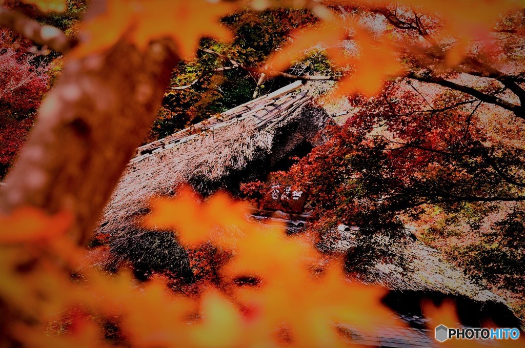 無長庵