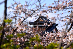 郡山城