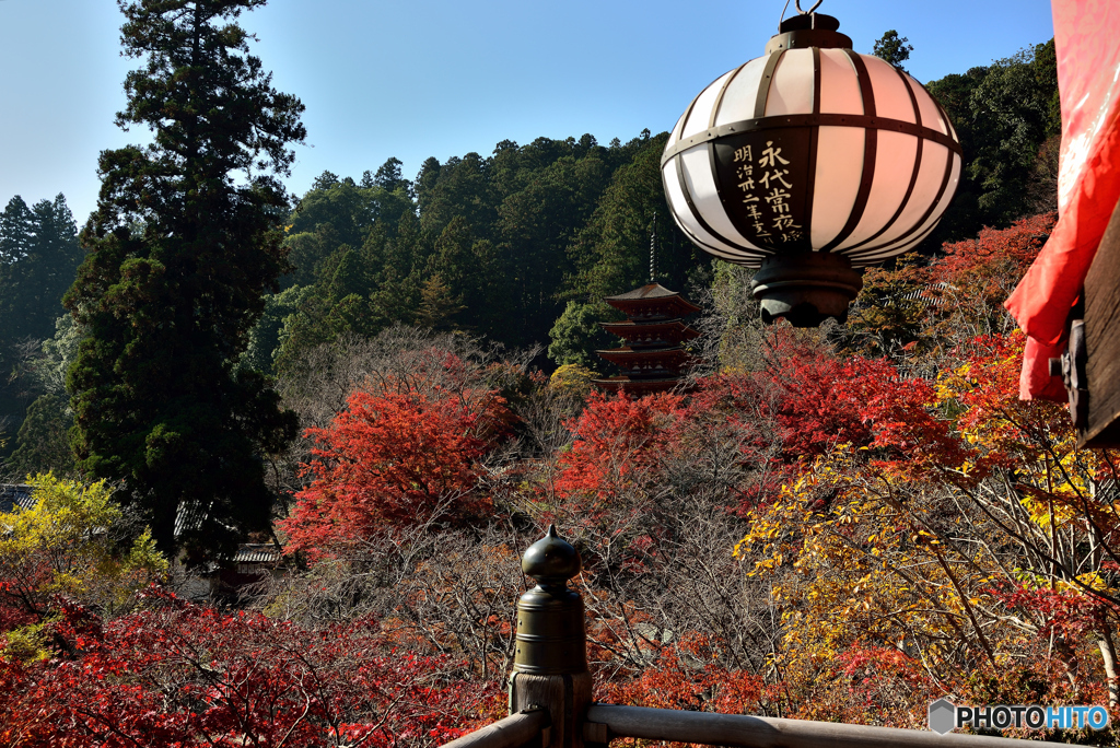 長谷寺