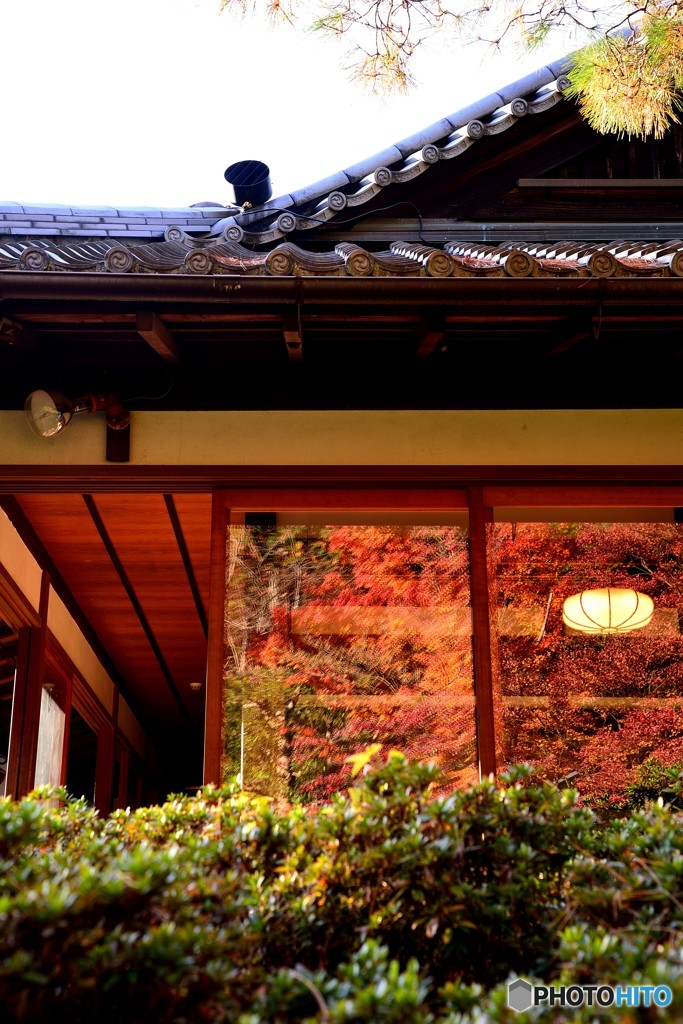 青蓮院門跡庭園２
