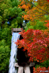 勝尾寺（１）