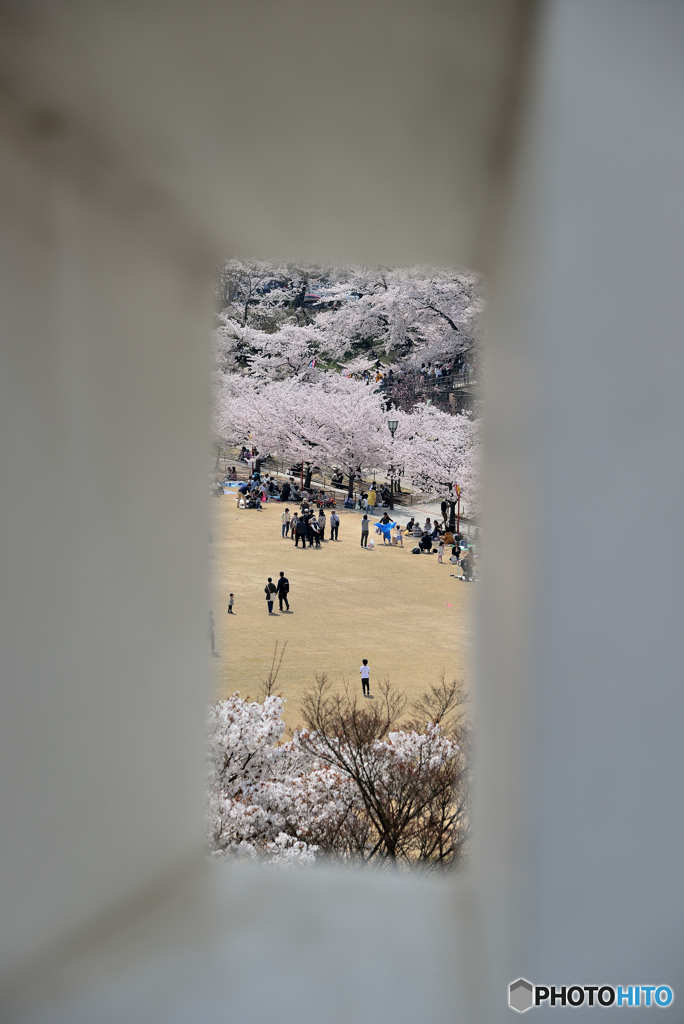 狭間から