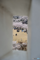 狭間から